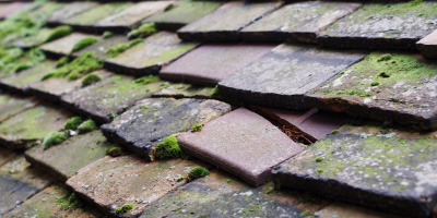 Ringland roof repair costs